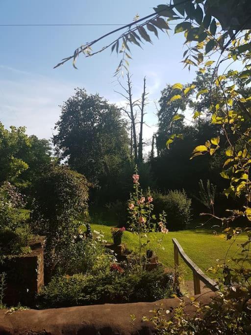 Mill Cottage Garden Annexe นิวตันแอบบ็อต ภายนอก รูปภาพ
