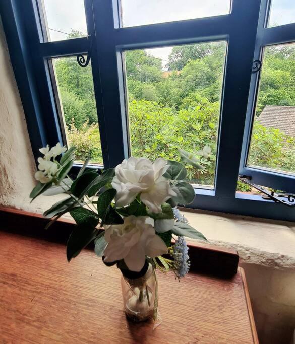 Mill Cottage Garden Annexe นิวตันแอบบ็อต ภายนอก รูปภาพ