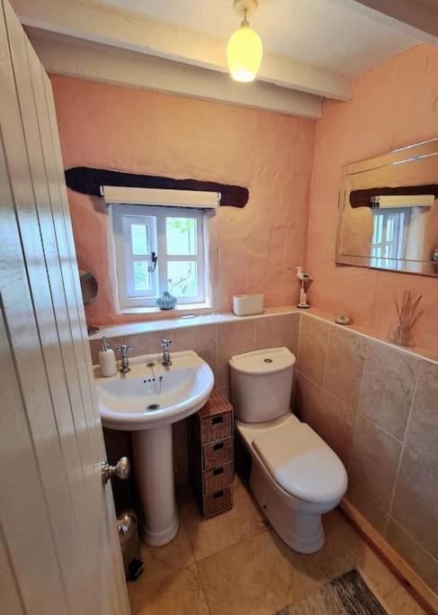 Mill Cottage Garden Annexe นิวตันแอบบ็อต ภายนอก รูปภาพ