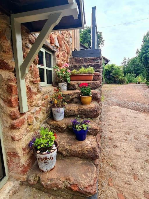 Mill Cottage Garden Annexe นิวตันแอบบ็อต ภายนอก รูปภาพ